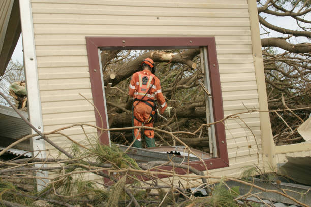 How Our Tree Care Process Works  in  Nokomis, FL